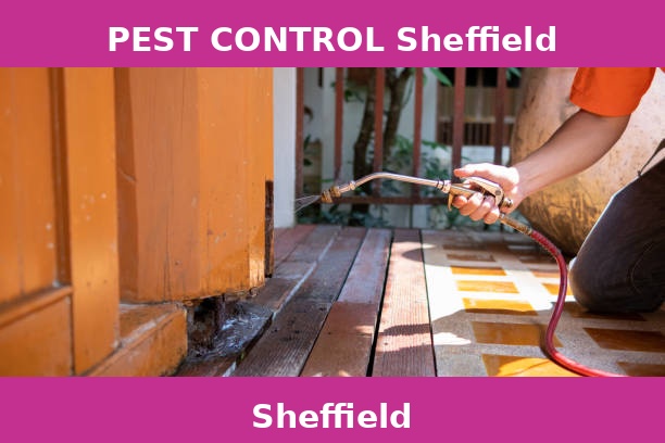PEST CONTROL Sheffield